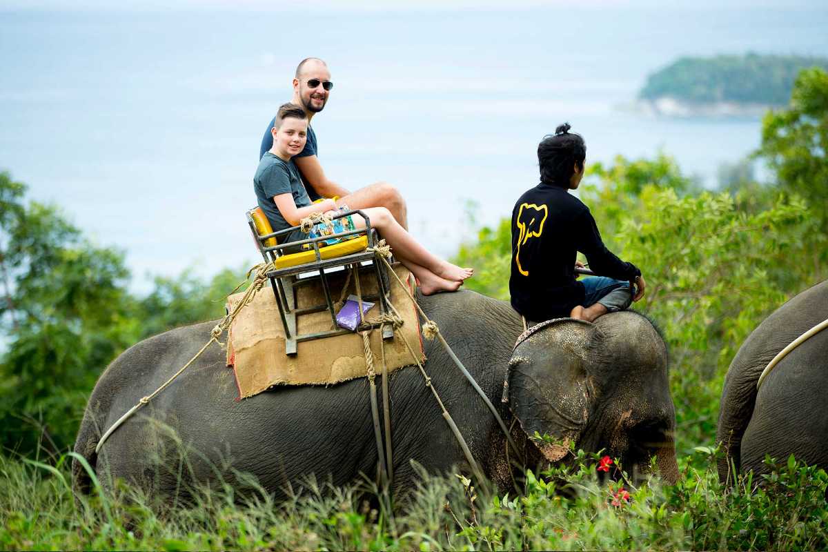 elephant tour phuket