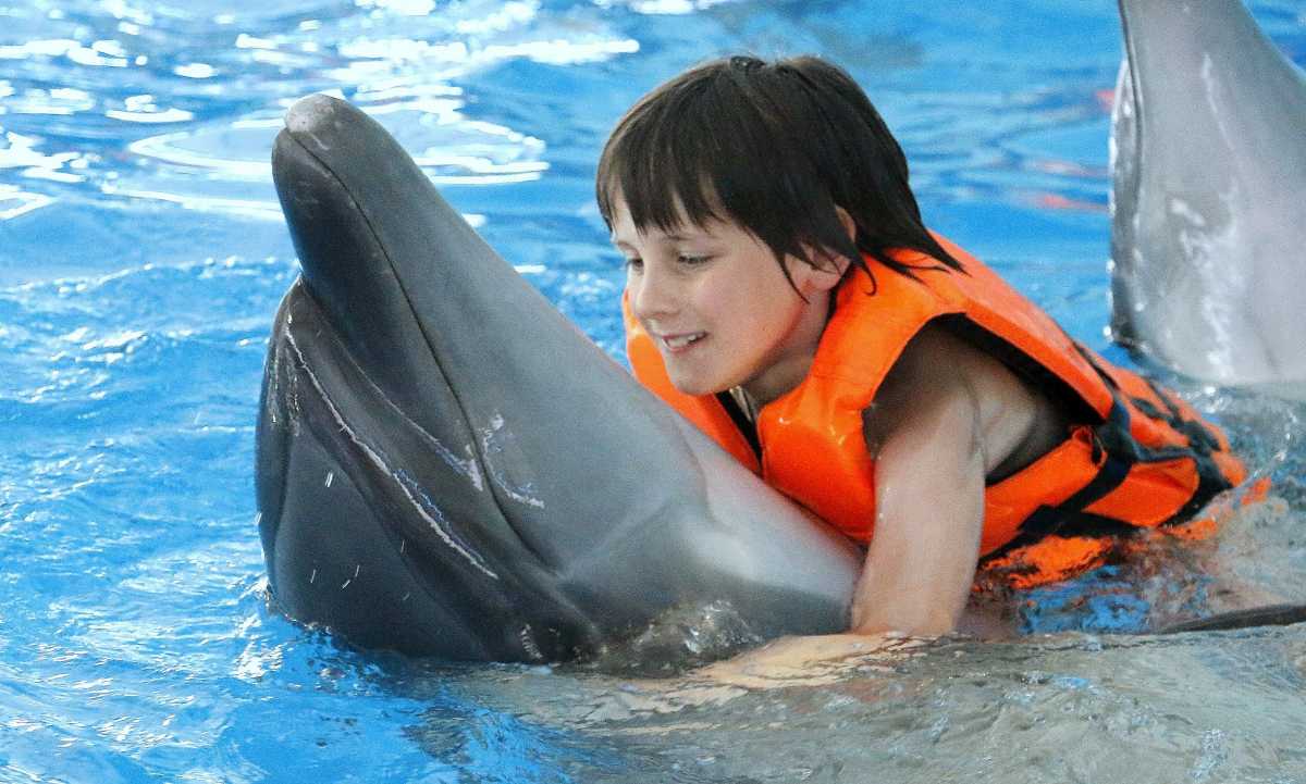 Swimming with the Dolphins at Dolphins Bay, Phuket