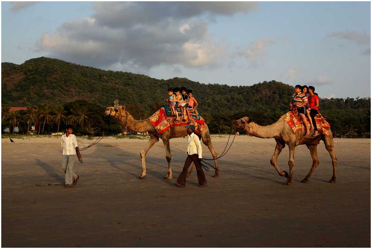 Camel ride at Ganapatipule sea beach