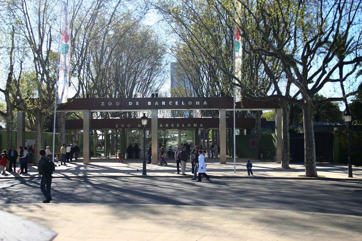 Parc De La Ciutadella Zoo