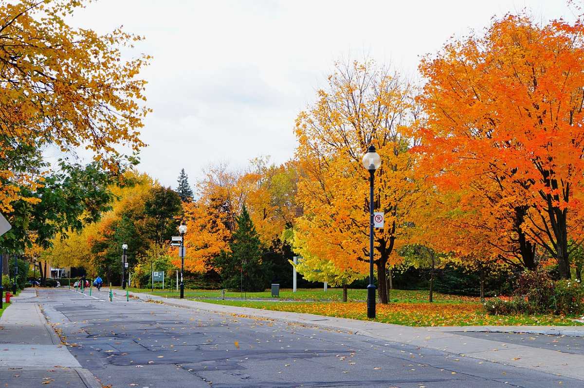 Chicago in October 12 Top October Events, Weather And More
