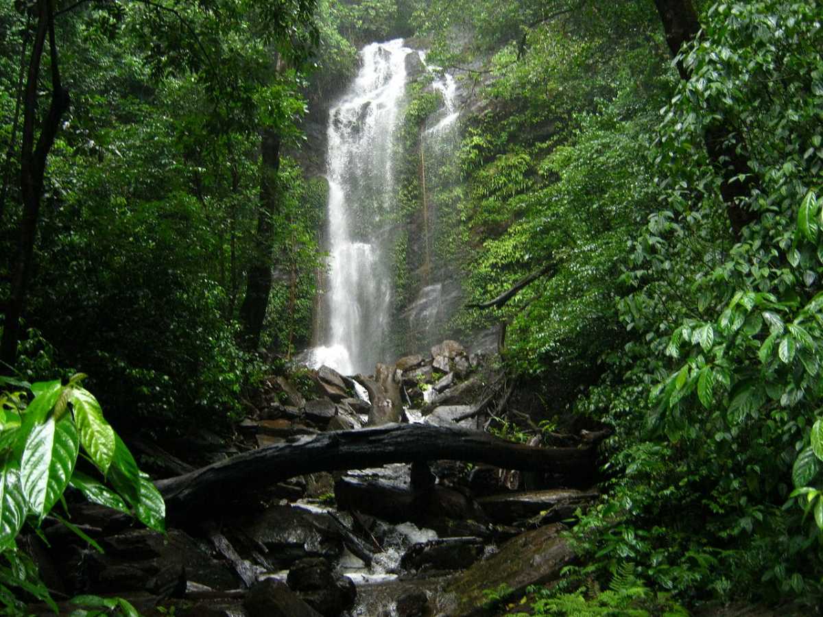 tourist places near kodachadri