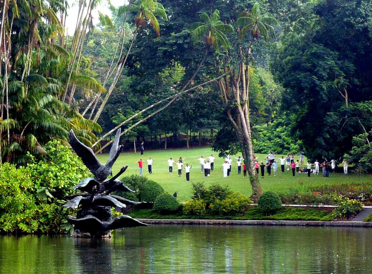 Swan Lake at Botanical Gardens in Singapore