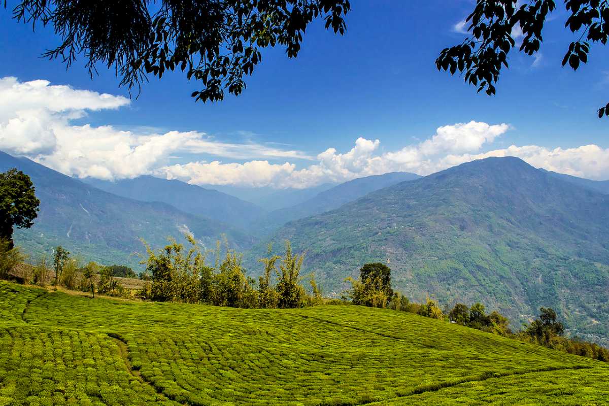 Tendong Hill | 10 Stunning Places To Visit in Sikkim in November 2020