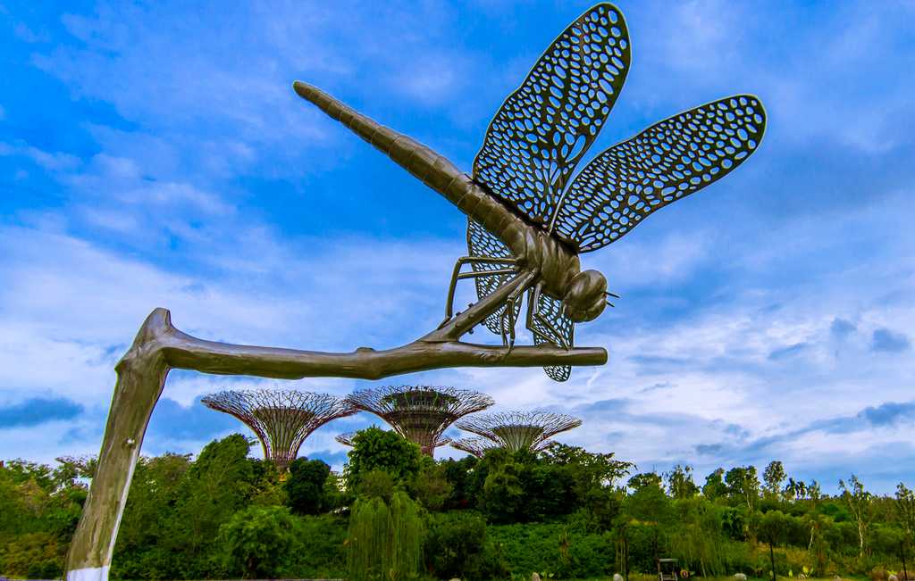 Dragonfly and Kingfisher Lake at Gardens by the Bay