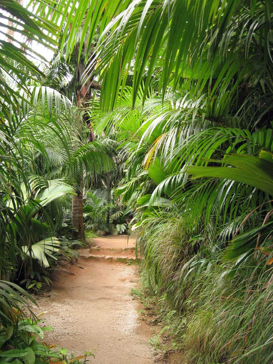 Culture de plantes de mer