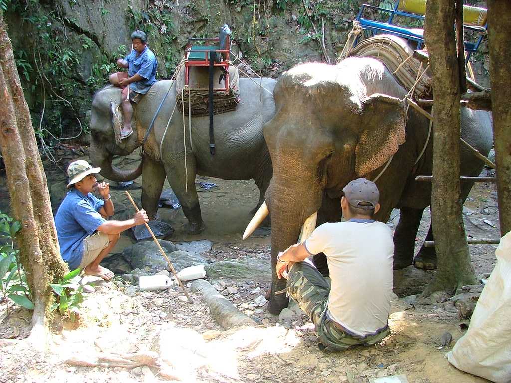 Khao Sok National Park