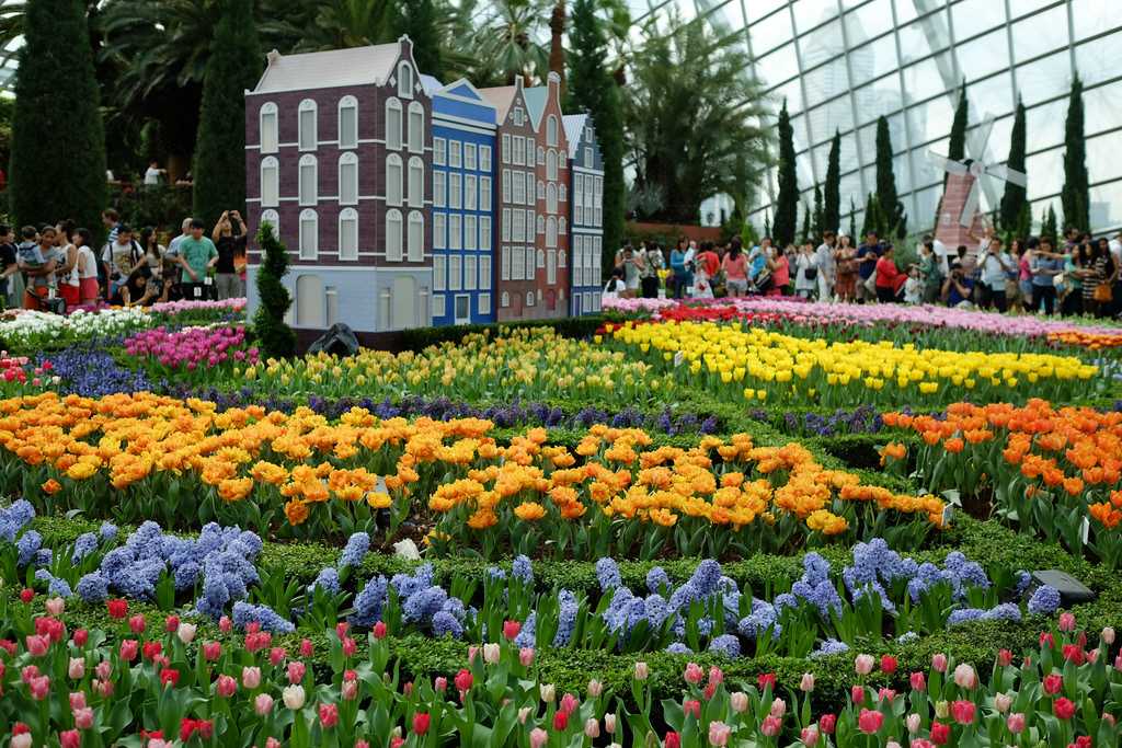 Flower Dome at Gardens by the Bay