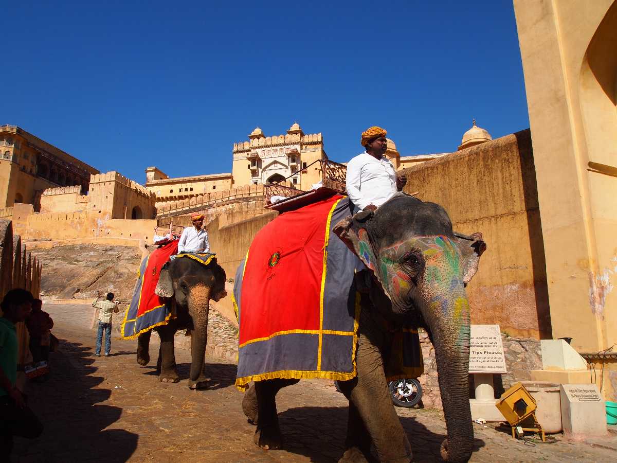 Elephant Ride at Amber Fort