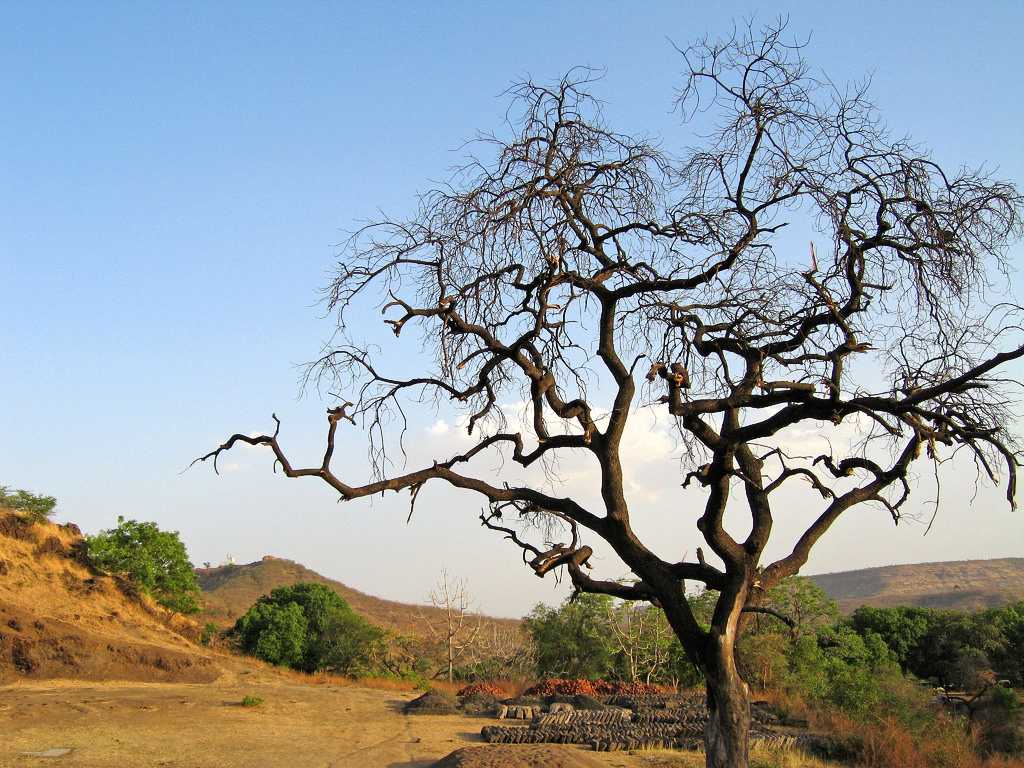 Summer afternoon, aurangabad