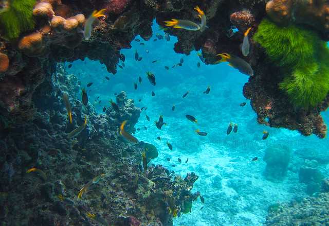 Underwater World Pattaya