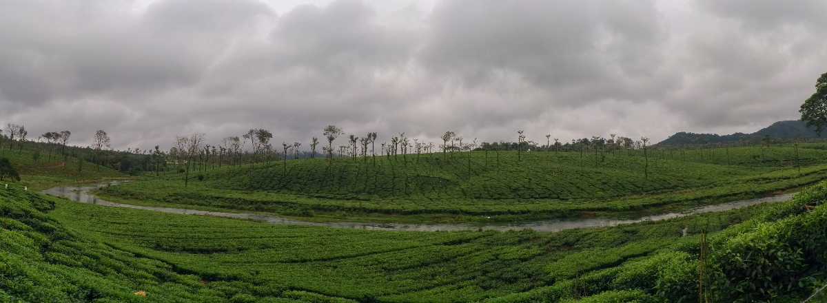 Nelliyampathy Hill Station