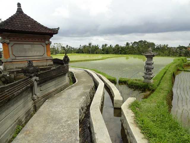 Camphuan Ridge Walk