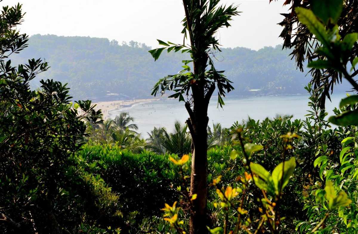 Beach view from Namaste Yoga Farm