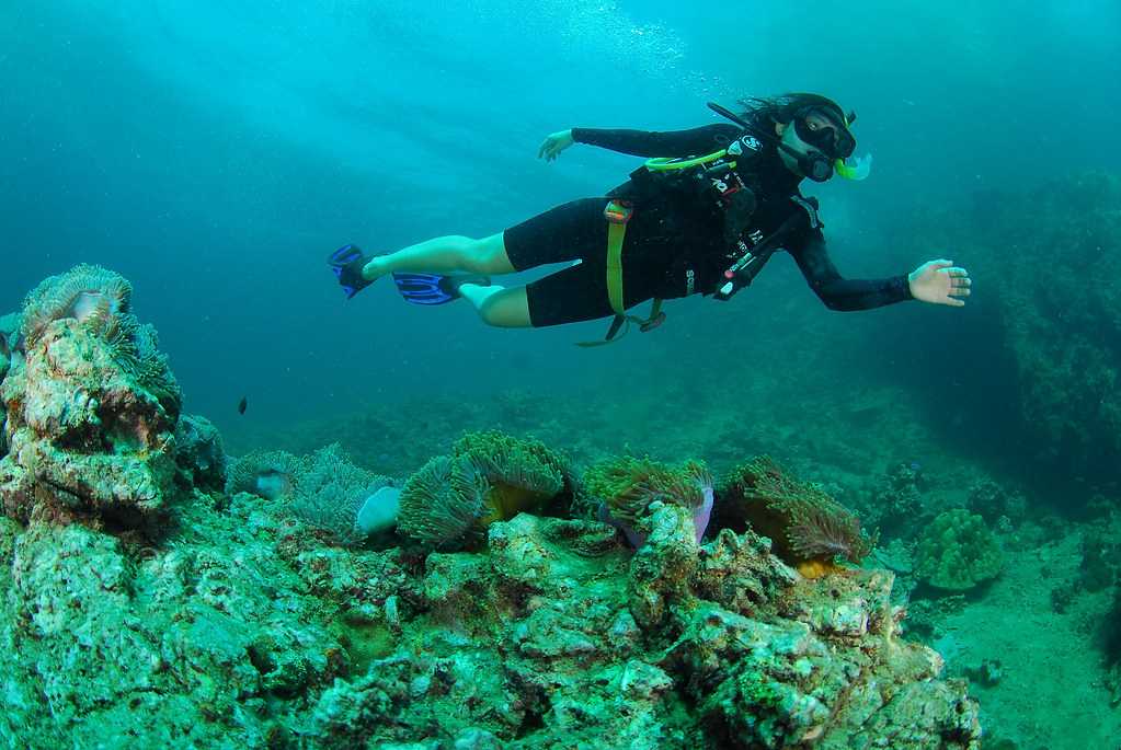 Woman scuba diving