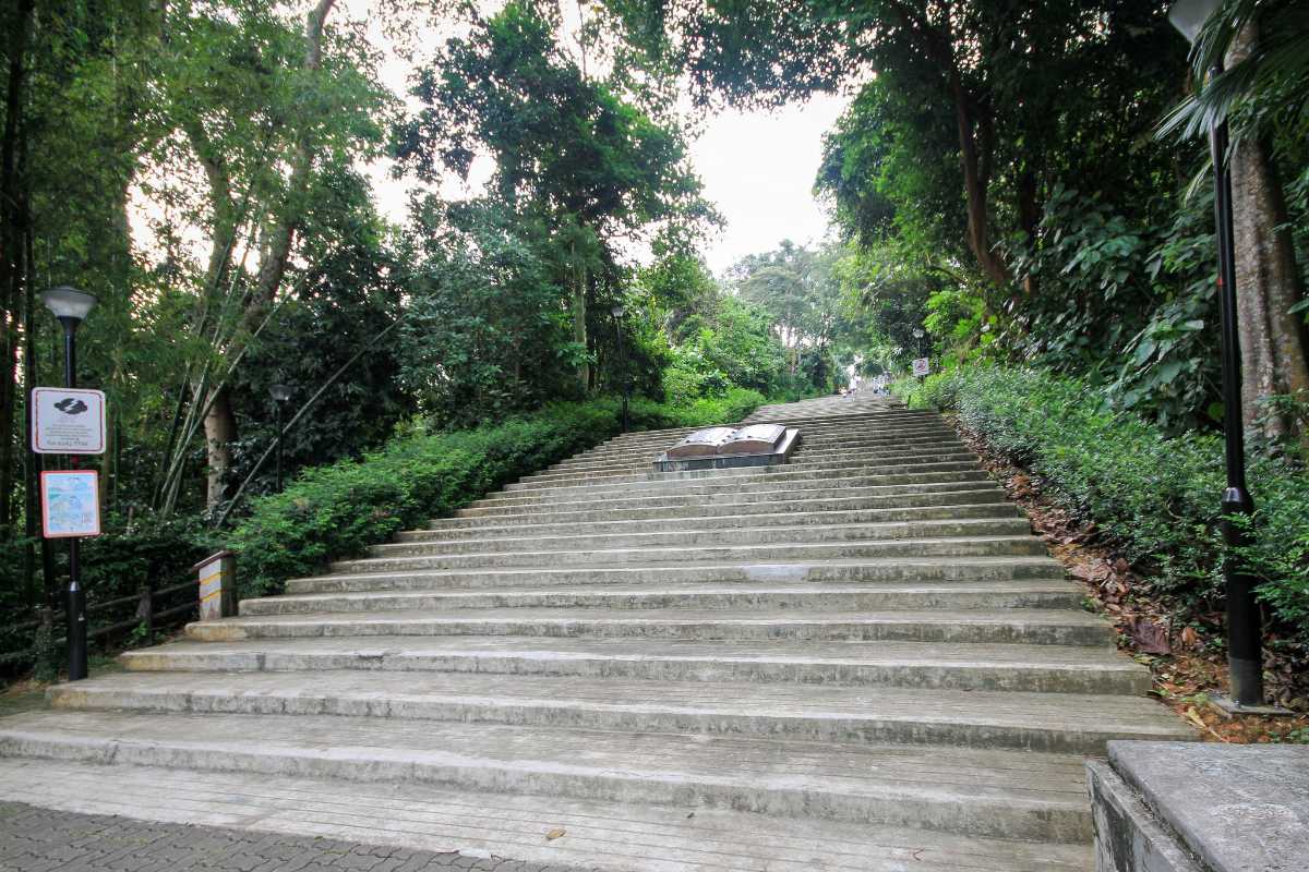 Bukit Batok Nature Park