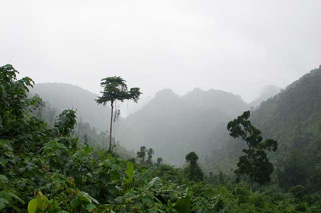 Cuc Phuong National Park, Trekking in Vietnam