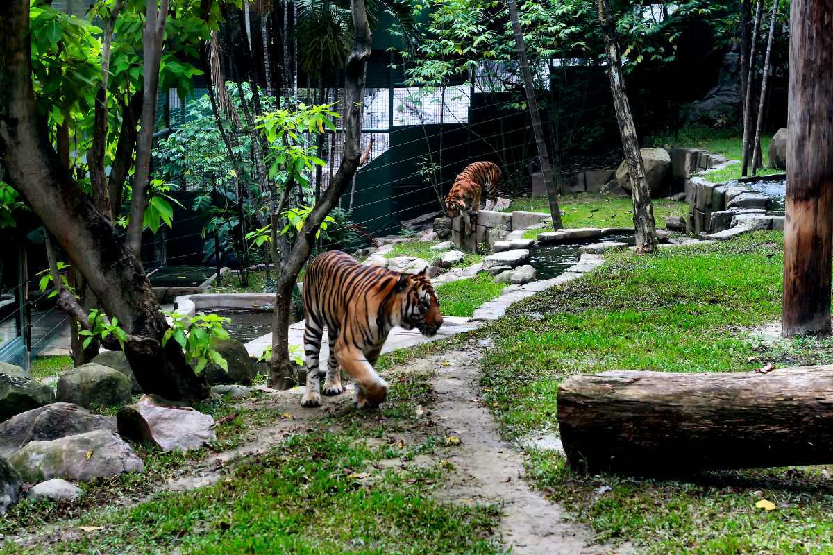 Sunway Lagoon Theme Park, Kuala Lumpur