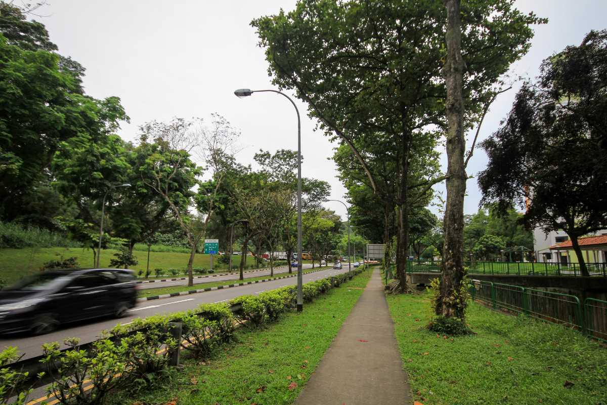 Bukit Batok Nature Park