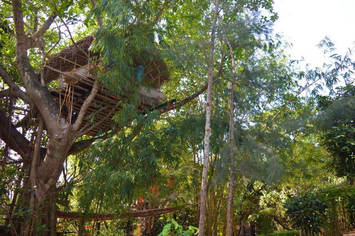 Tree house at Namaste Yoga Farm