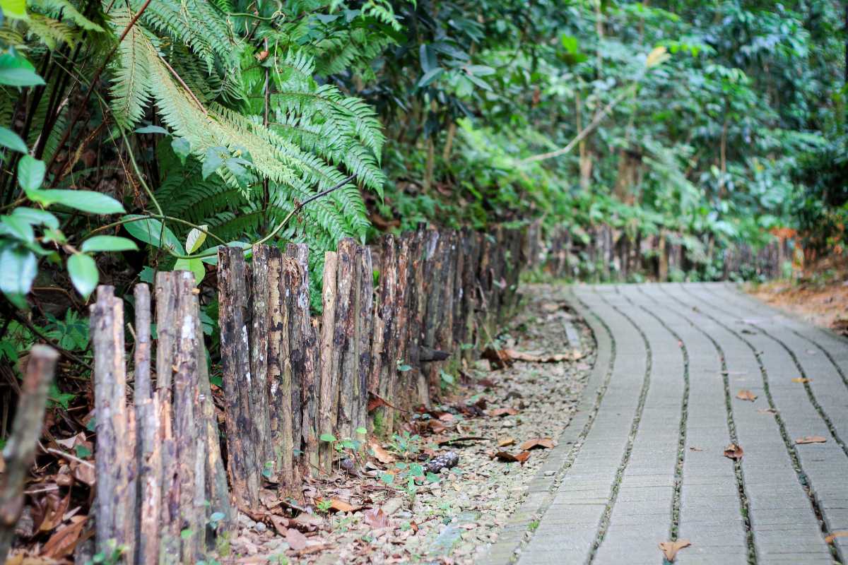 Bukit Batok Nature Park