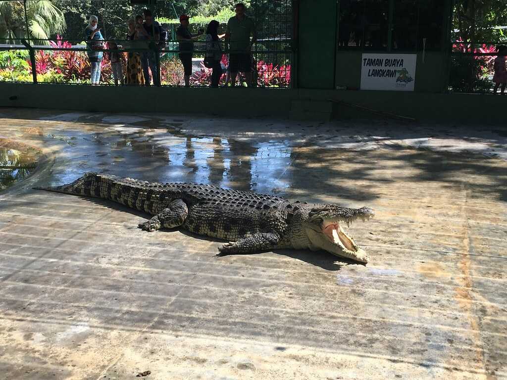 Crocodile Adventureland Langkawi