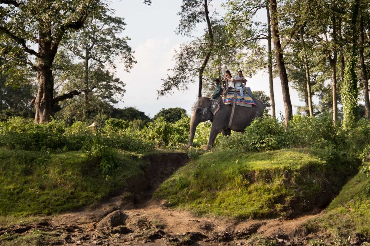 Chitwan National Park