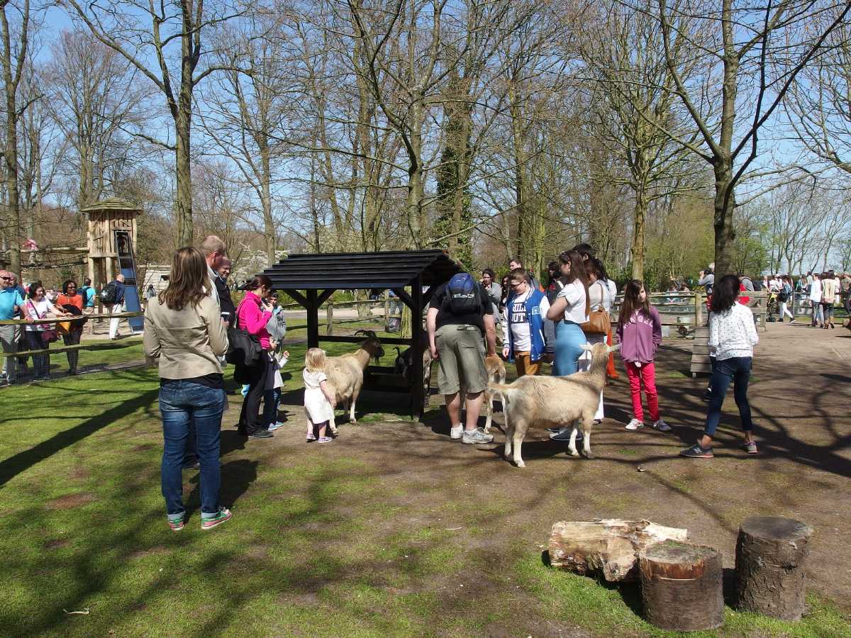 Petting farm at the Keukenhof