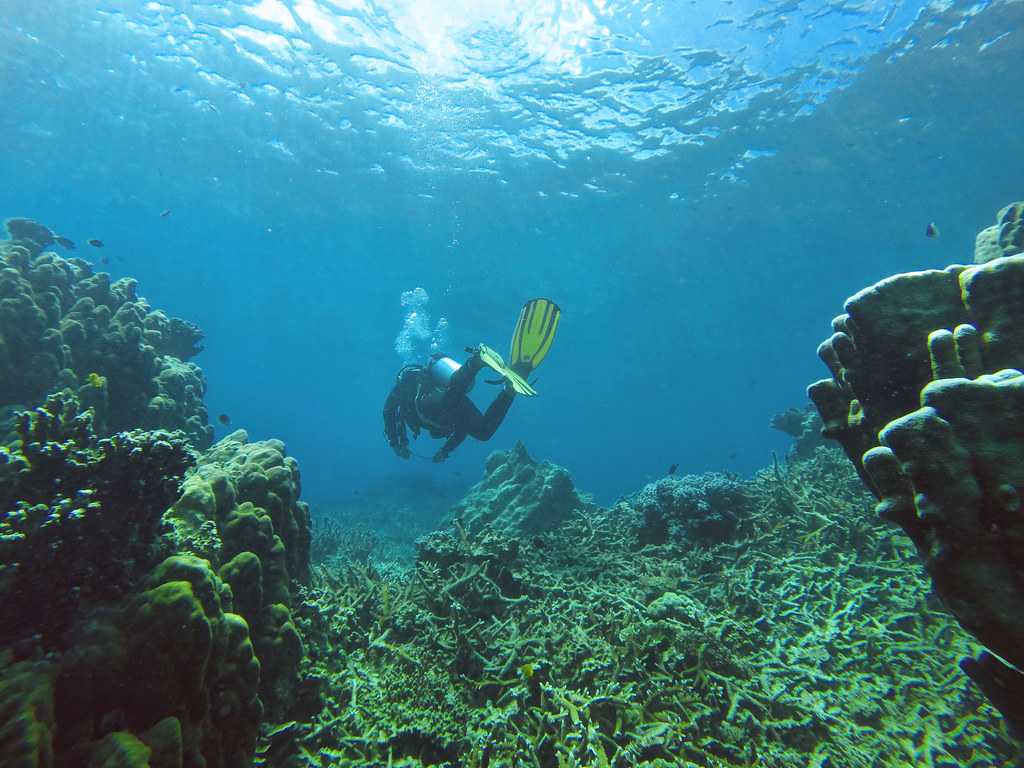 Scuba diving in Langkawi
