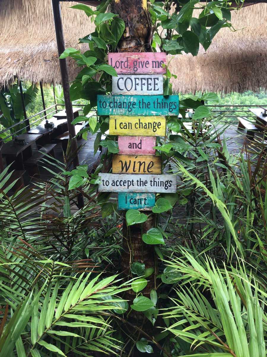 Coffee Plantations in Bali to Get to the Source of Your Coffee - Holidify