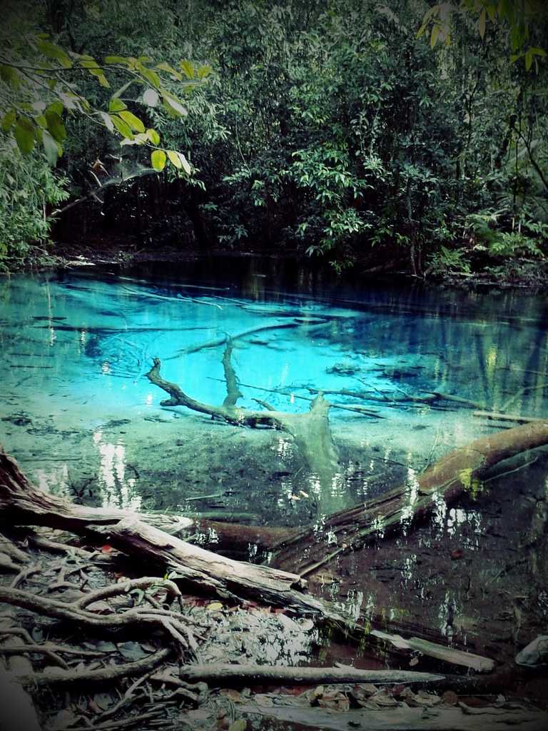 Emerald Pool at Krabi