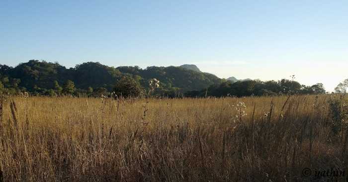 Phawngpui National Park