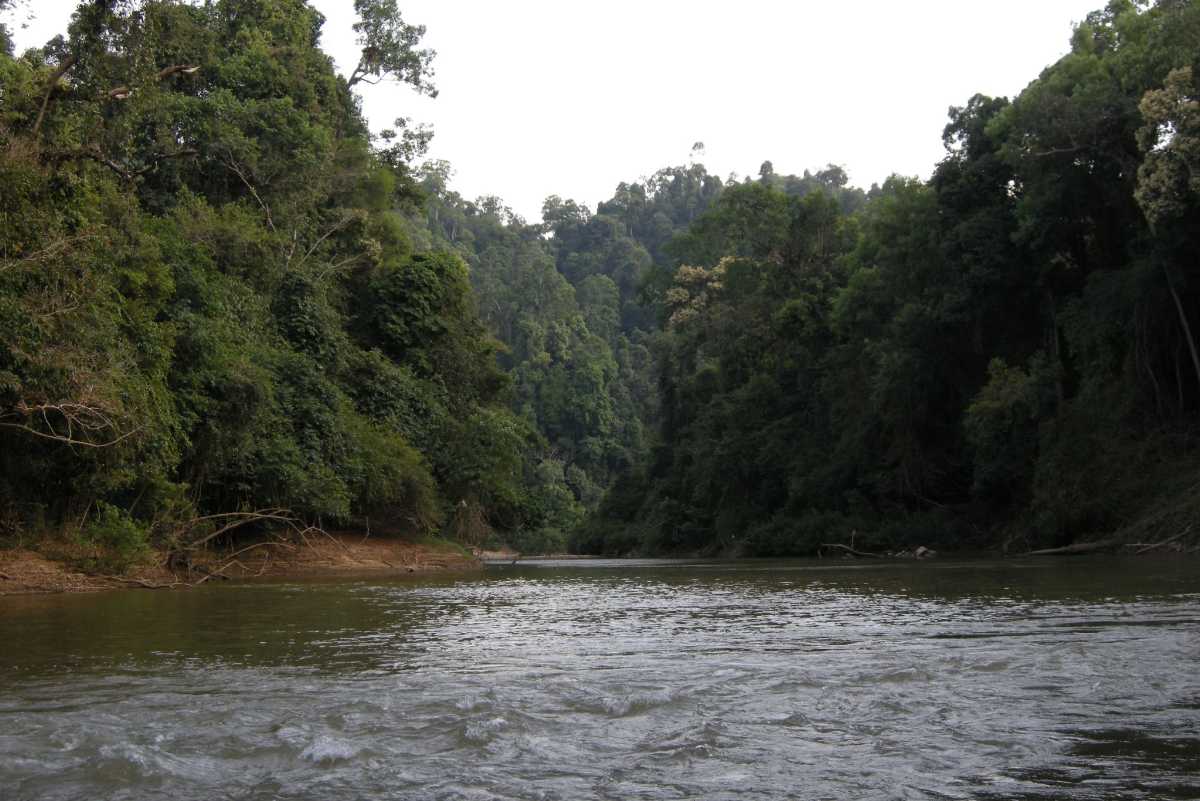 Cat Tien National Park, Trekking in Vietnam