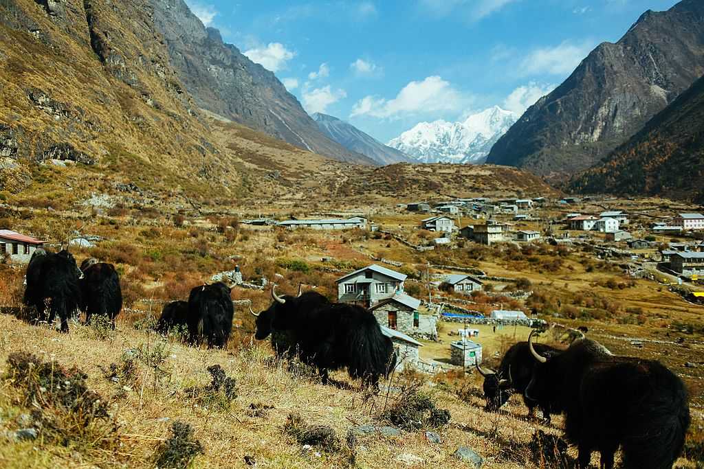 Langtang National Park