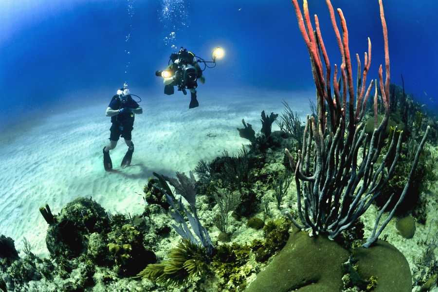 Scuba diving in Andaman Waters