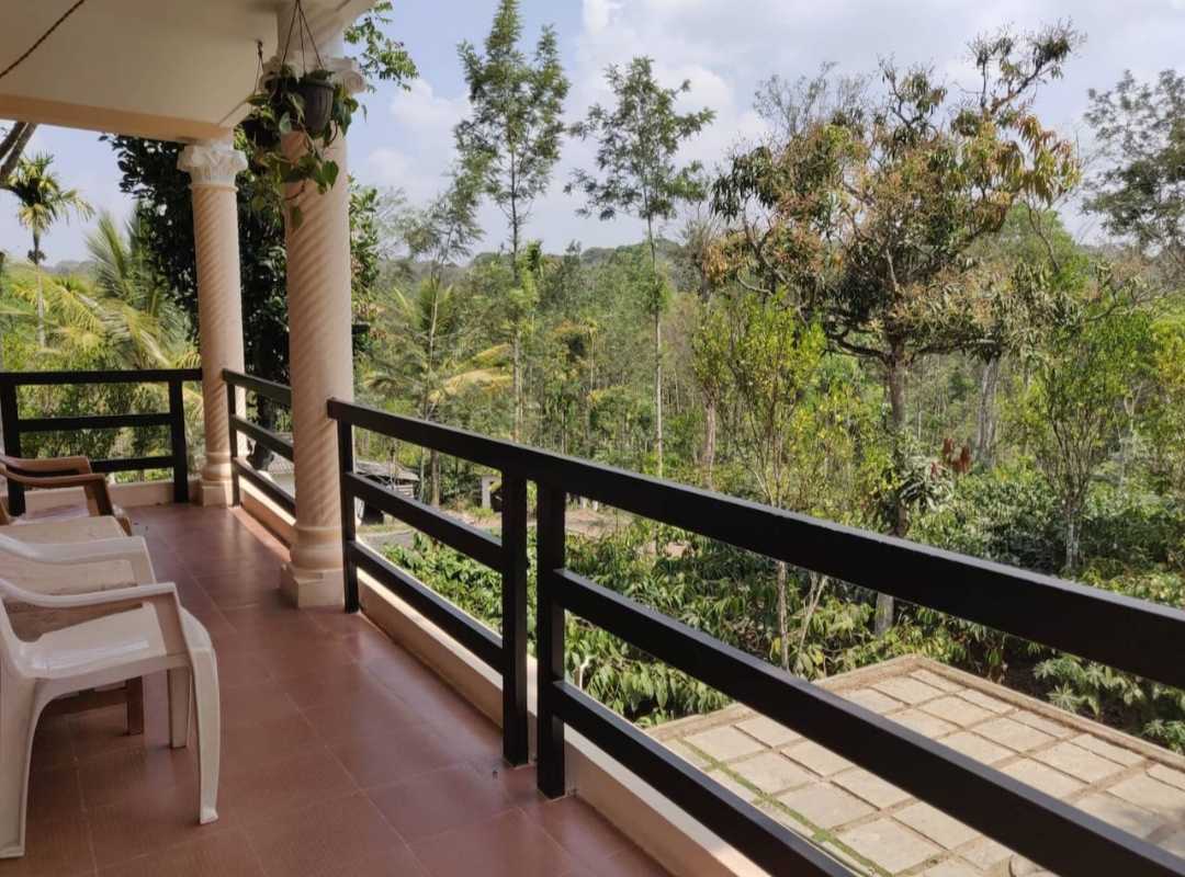 View of forest from the balcony