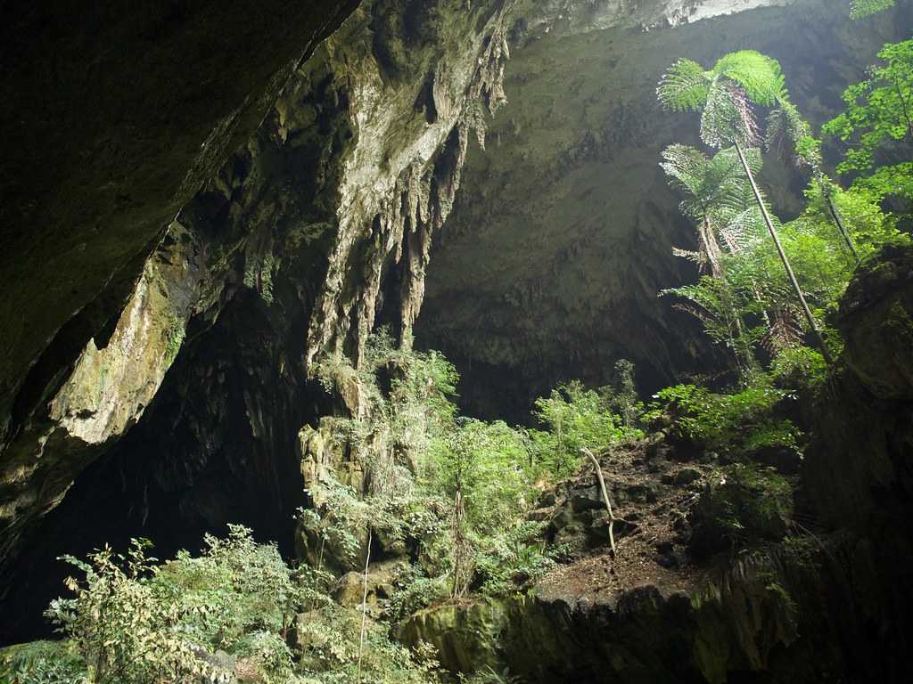 Mulu World Heritage Area