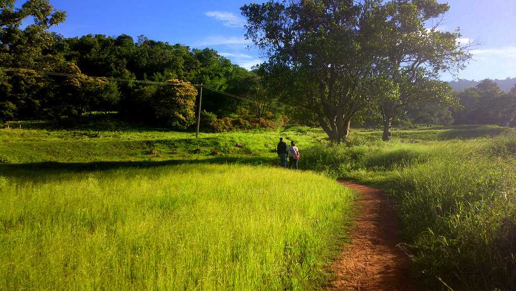 Swamimalai Hills, Yelagiri