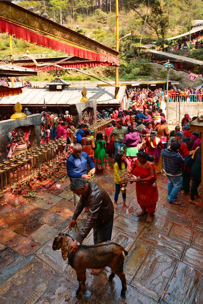 Dakshinkali Temple Nepal