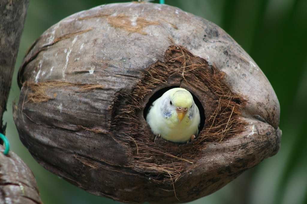 Langkawi Wildlife Park