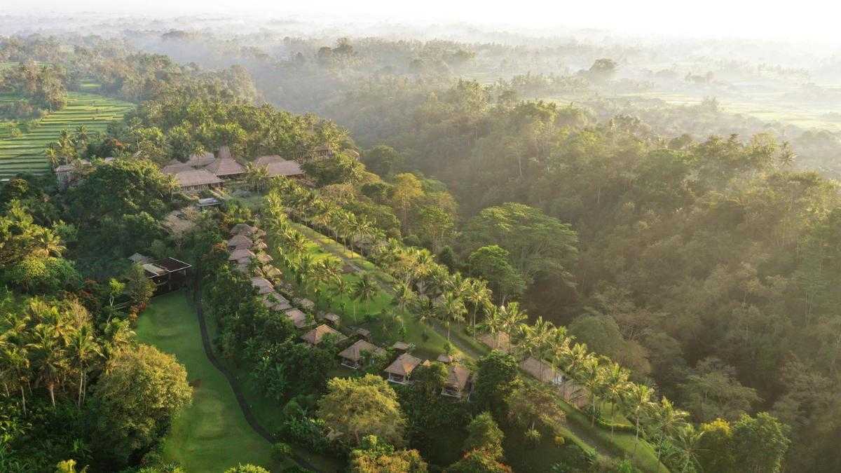 jungle safari ubud