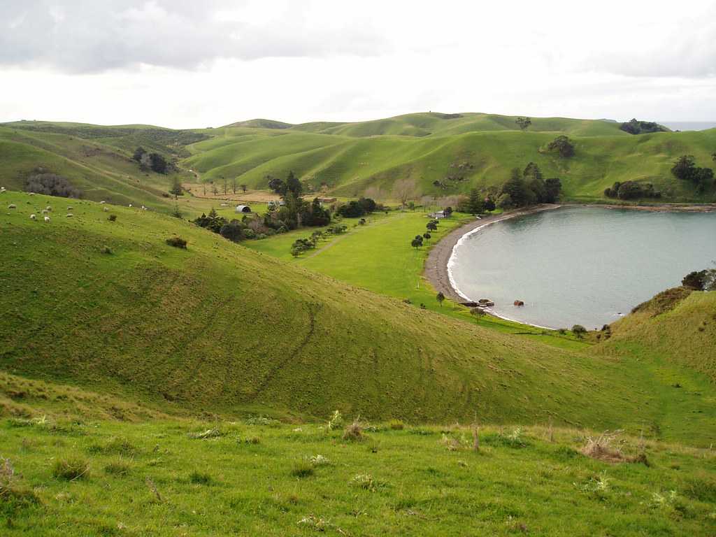 Home Bay Motutapu island