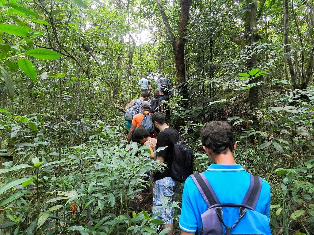 jungle trekking in malay