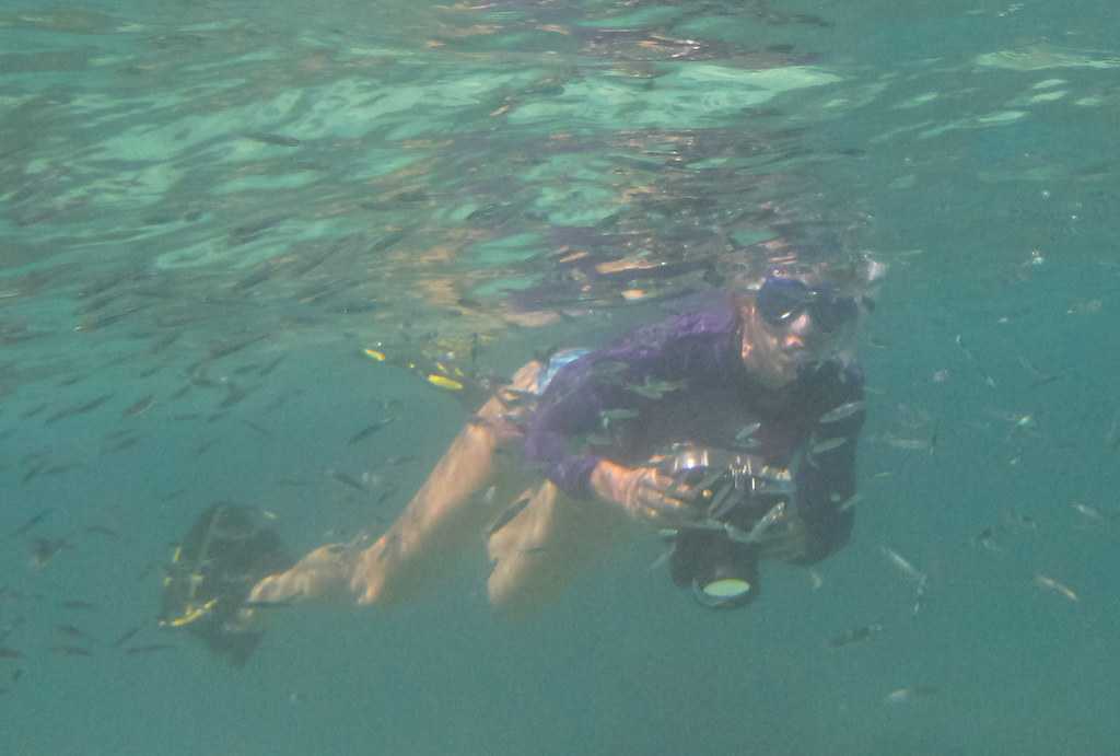 Snorkeling in Malaysia