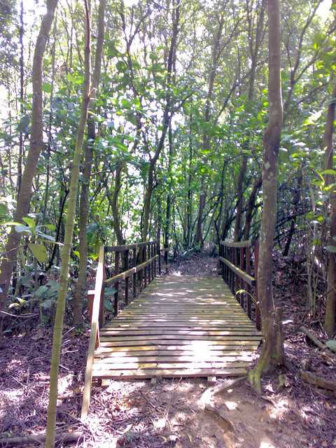 Kent Ridge Park Mountain Biking Trail