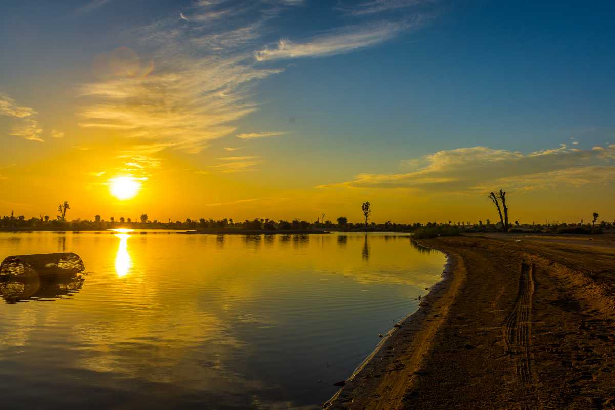 Al Qudra Lake