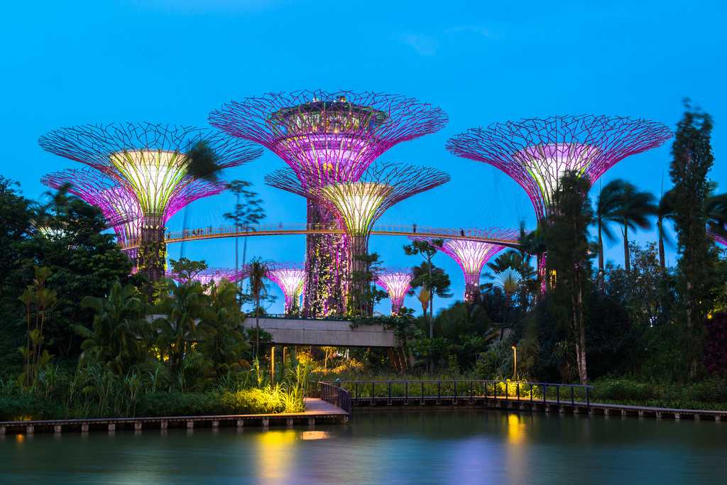 Supertree Grove at Gardens by the Bay