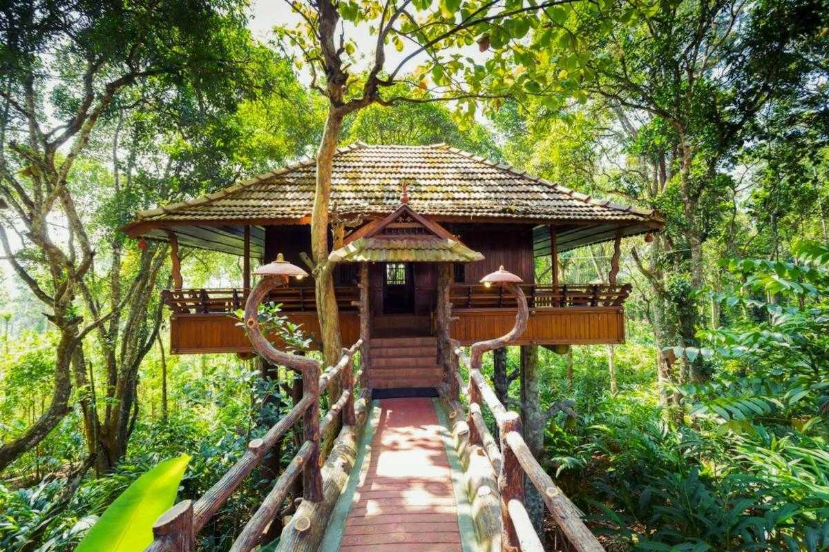 21 Beautiful Tree Houses in Kerala (2023) | Latest Offers, Photos