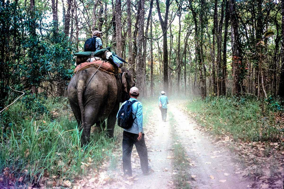 Chitwan National Park