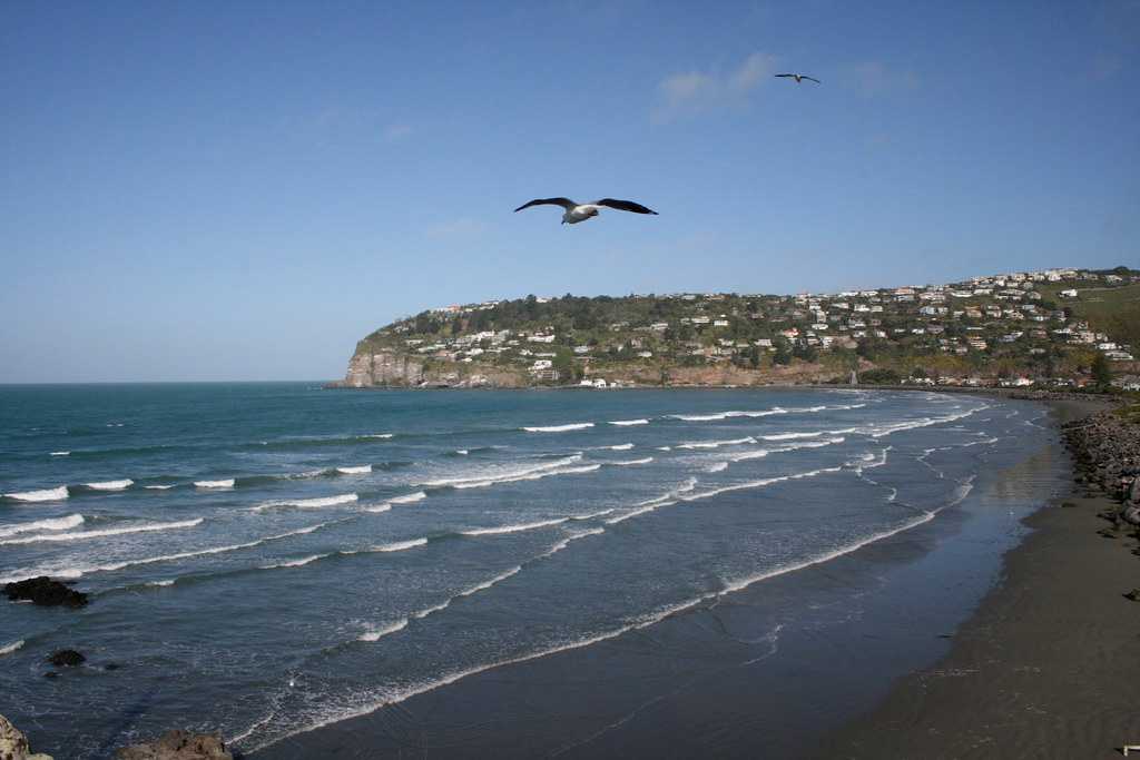 Sumner Beach